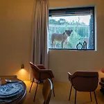 Night Experience - By Zoo Bordeaux Pessac