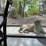 Night Experience - By Zoo Bordeaux Chata *