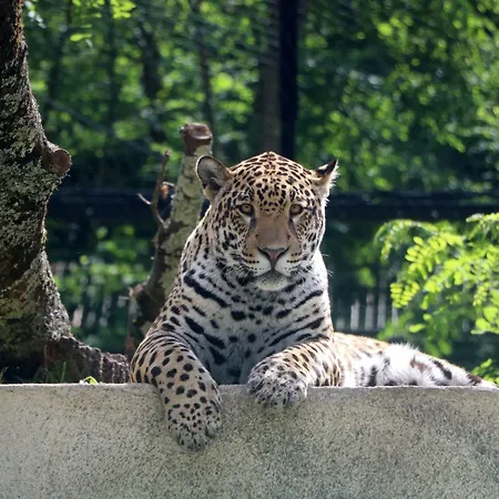 Night Experience - By Zoo Bordeaux