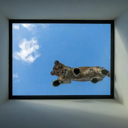 Alojamento de Turismo Selvagem Night Experience - By Zoo Bordeaux *