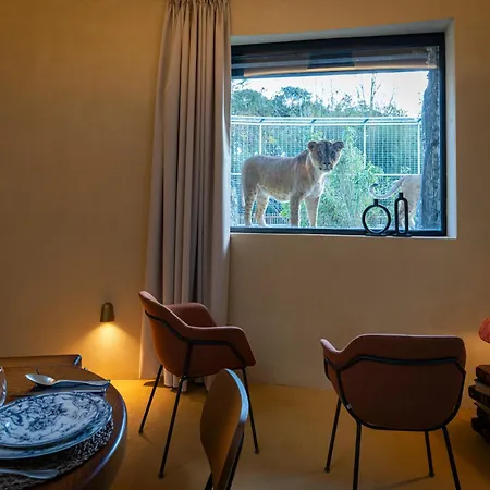 Night Experience - By Zoo Bordeaux Pessac