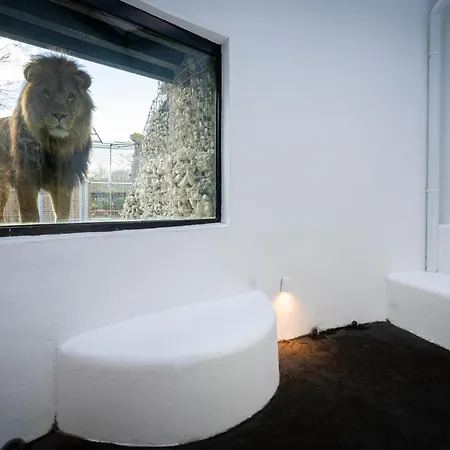 Night Experience - By Zoo Bordeaux *