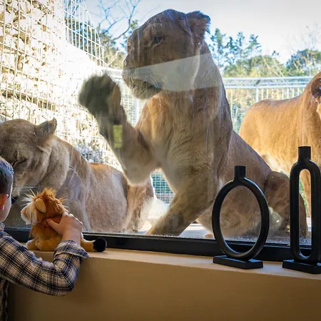 Alojamento de Turismo Selvagem Night Experience - By Zoo Bordeaux *