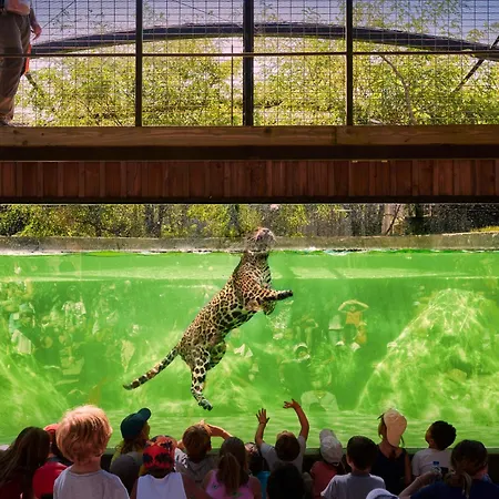 Night Experience - By Zoo Bordeaux * Pessac