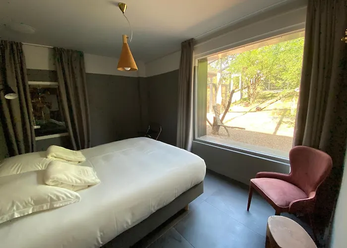 Night Experience - By Zoo Bordeaux Jaktstuga Pessac