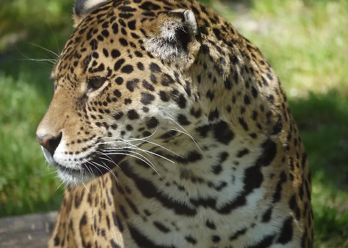 Chata Night Experience - By Zoo Bordeaux