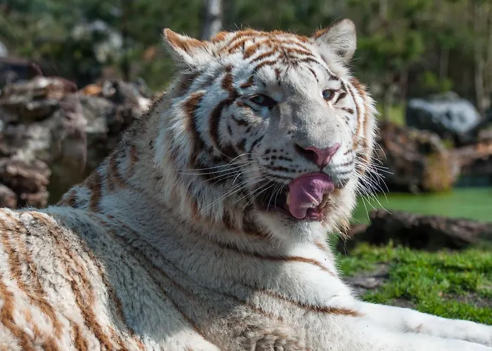 Night Experience - By Zoo Bordeaux