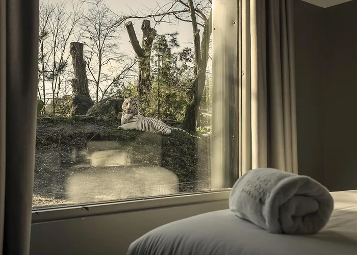 Night Experience - By Zoo Bordeaux Jaktstuga