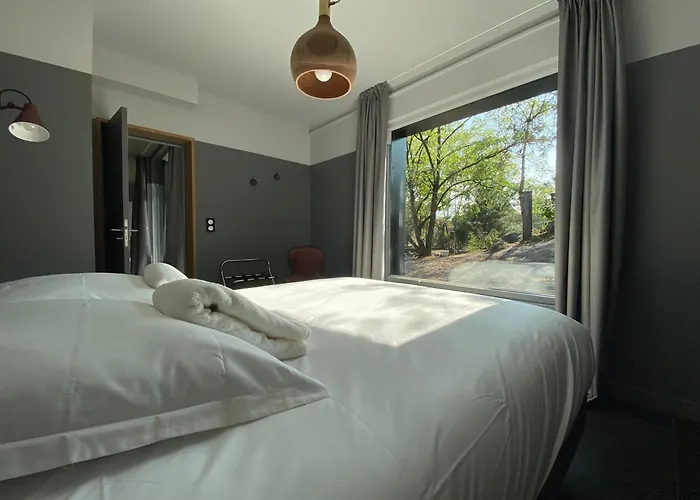 Night Experience - By Zoo Bordeaux Jaktstuga Pessac