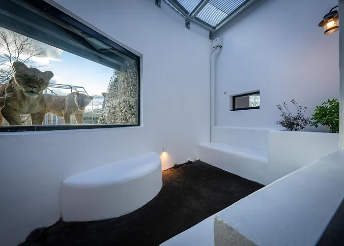 Night Experience - By Zoo Bordeaux Jaktstuga *