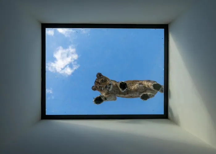 Jaktstuga Night Experience - By Zoo Bordeaux *