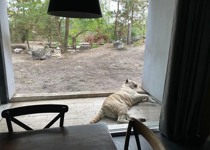 Jaktstuga Night Experience - By Zoo Bordeaux *