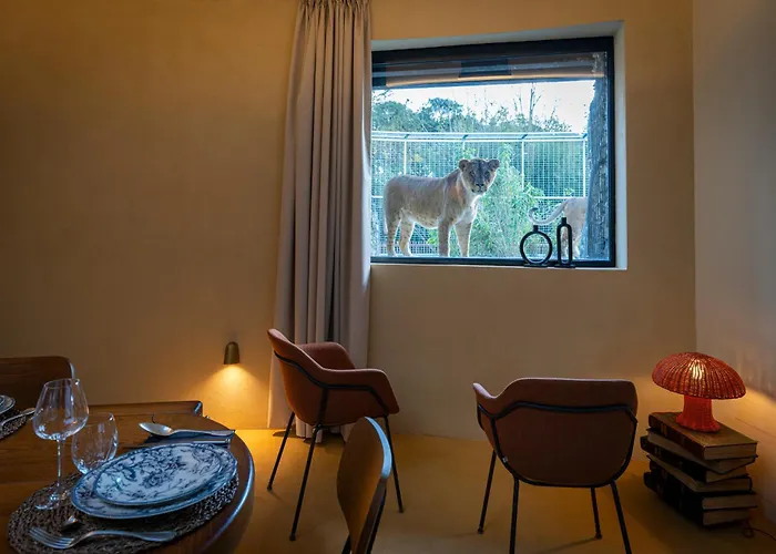 Night Experience - By Zoo Bordeaux Pessac