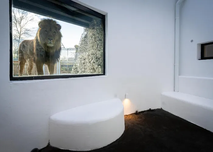 Night Experience - By Zoo Bordeaux *