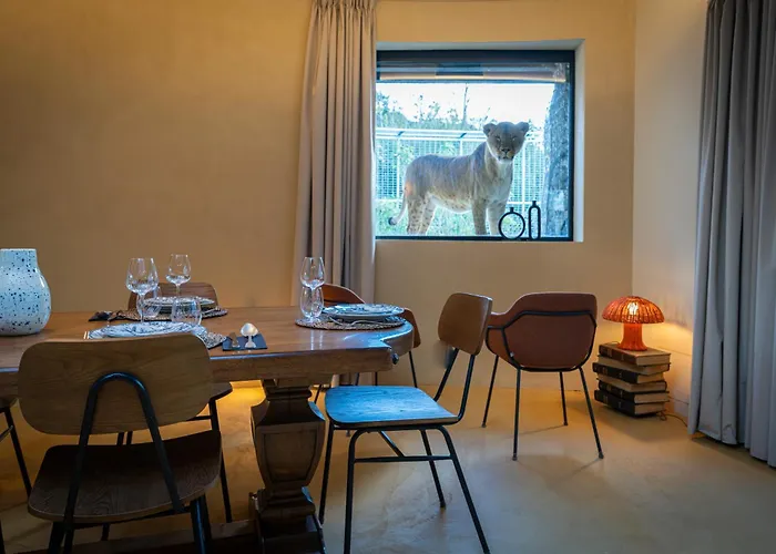 Night Experience - By Zoo Bordeaux Jaktstuga Pessac