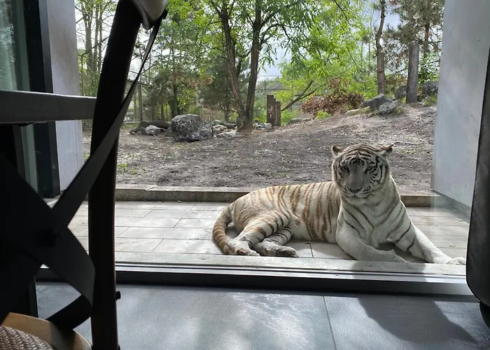 Night Experience - By Zoo Bordeaux Chata *