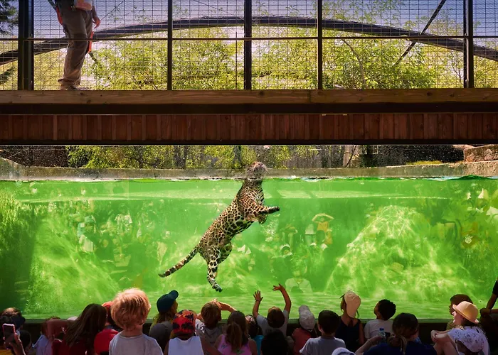 Night Experience - By Zoo Bordeaux * Pessac